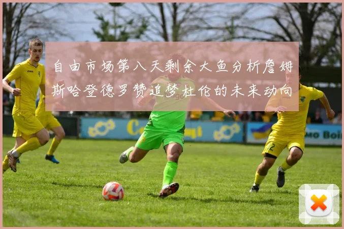 自由市场第八天剩余大鱼分析詹姆斯哈登德罗赞追梦杜伦的未来动向