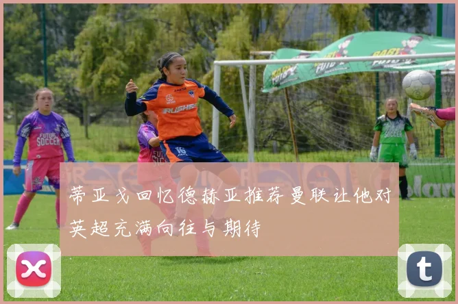 蒂亚戈回忆德赫亚推荐曼联让他对英超充满向往与期待